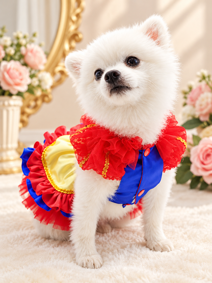 Front view of dog wearing handmade red blue and yellow holiday dress