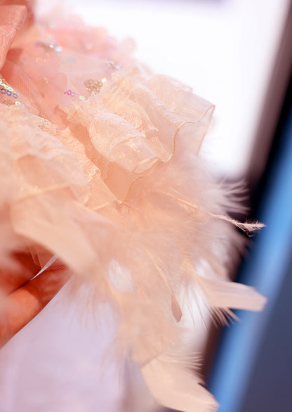 Dog Dress Feather Dream Princess Dress