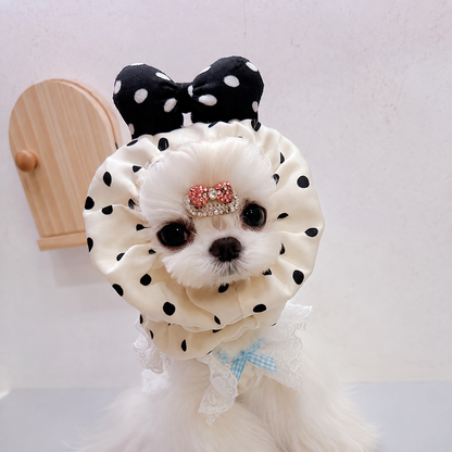 Small white dog wearing a white polka-dot cotton snood with bow detail