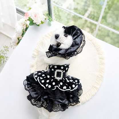 Small dog modeling black polka dot pet dress with lace ruffles, buckle detail, and matching bonnet