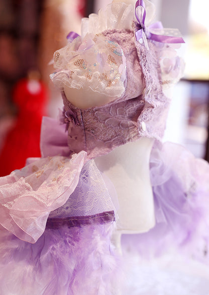Dog Dress Feather Dream Princess Dress