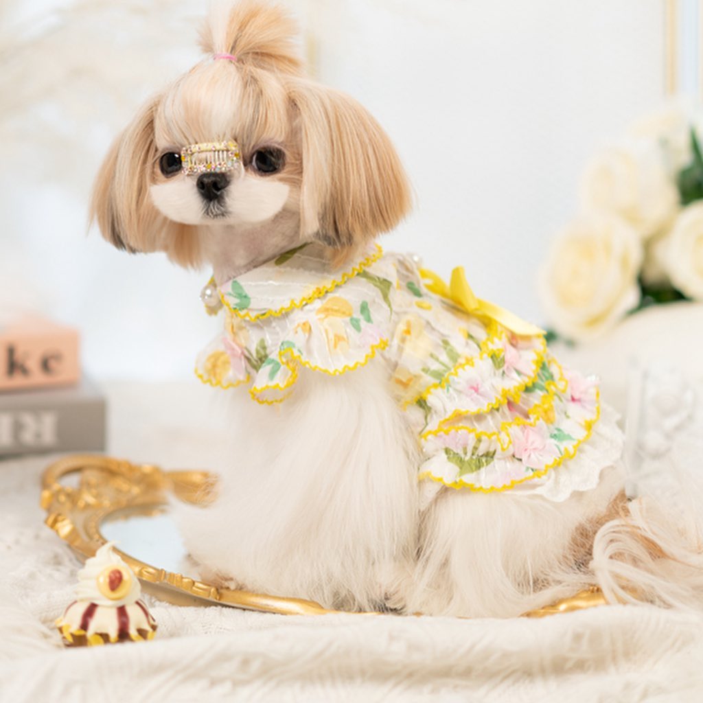 pet dog lace dress Floral _okendo:syndication_key:CL136490322 wedding photos Wedtrend Women White Corset Atria Signature Colors:Red