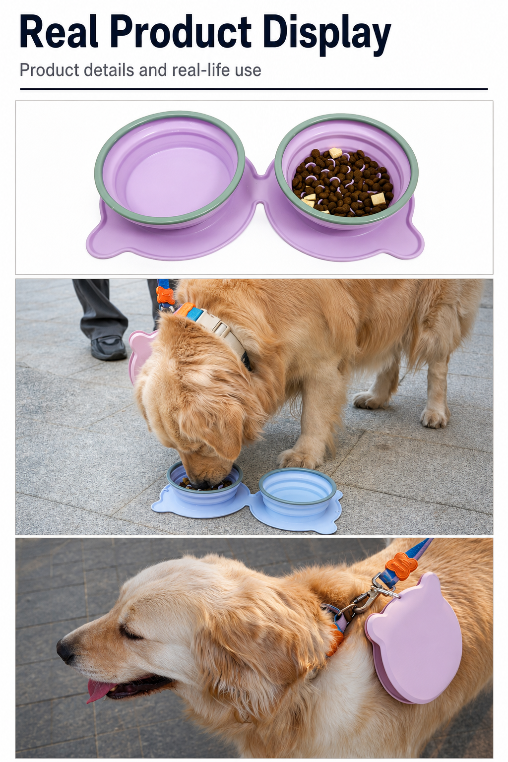 Purple and blue collapsible double pet bowls shown for feeding and travel