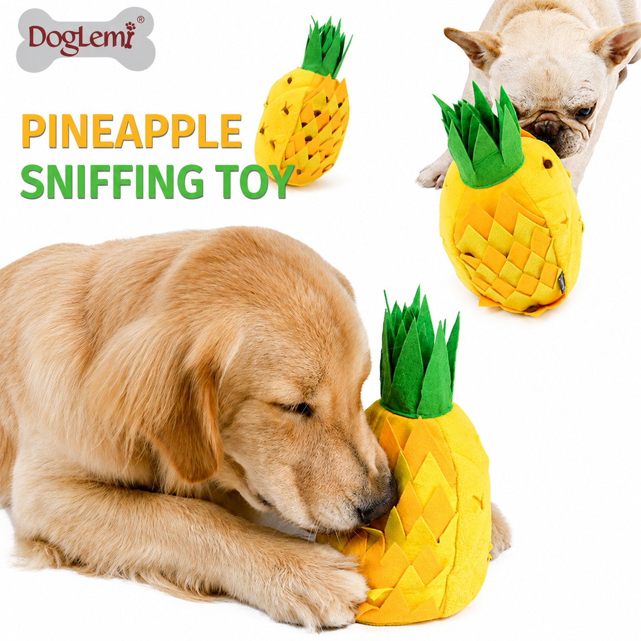 Golden Retriever and French Bulldog playing with pineapple snuffle enrichment toy