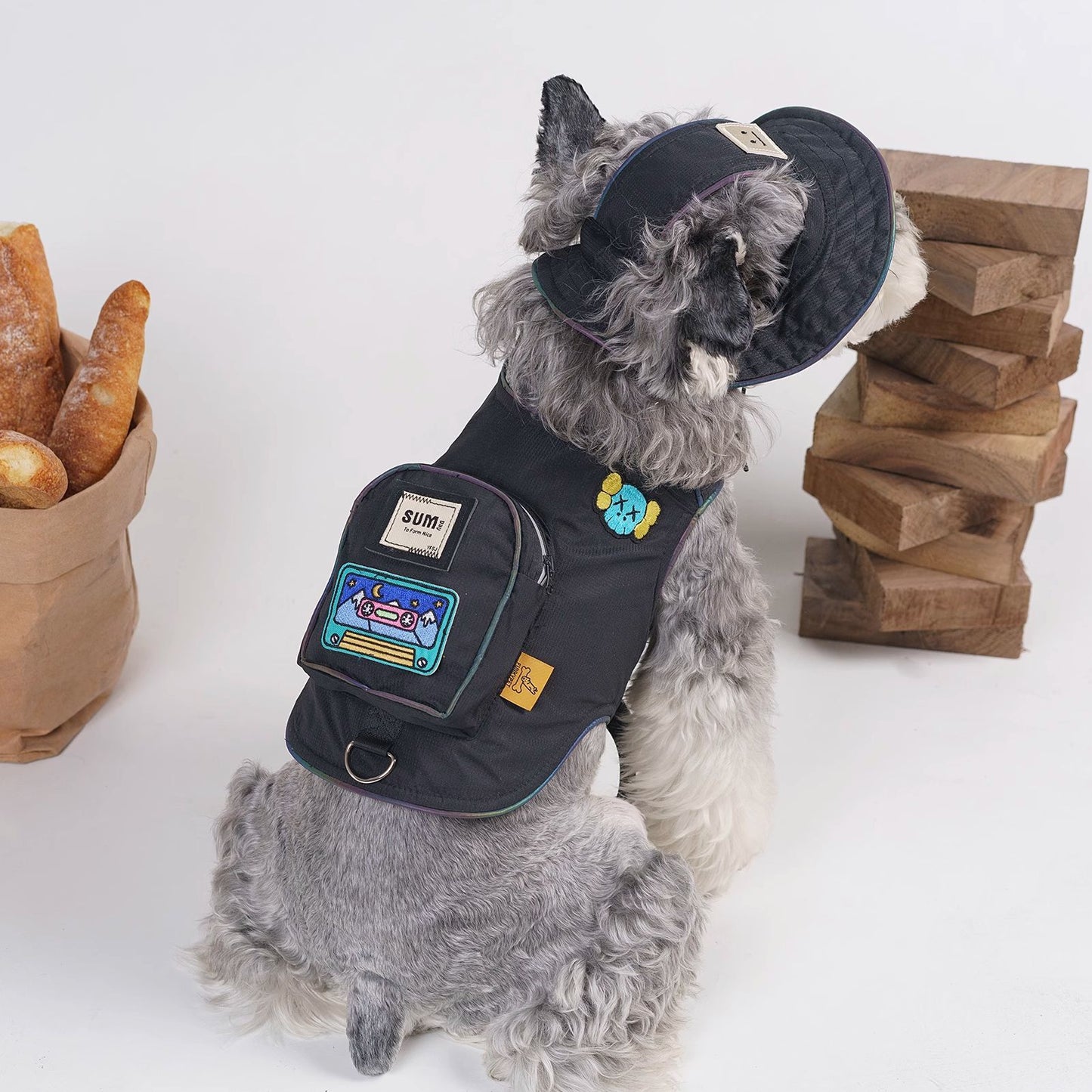 Back view of black dog backpack harness with front pouch and matching cap