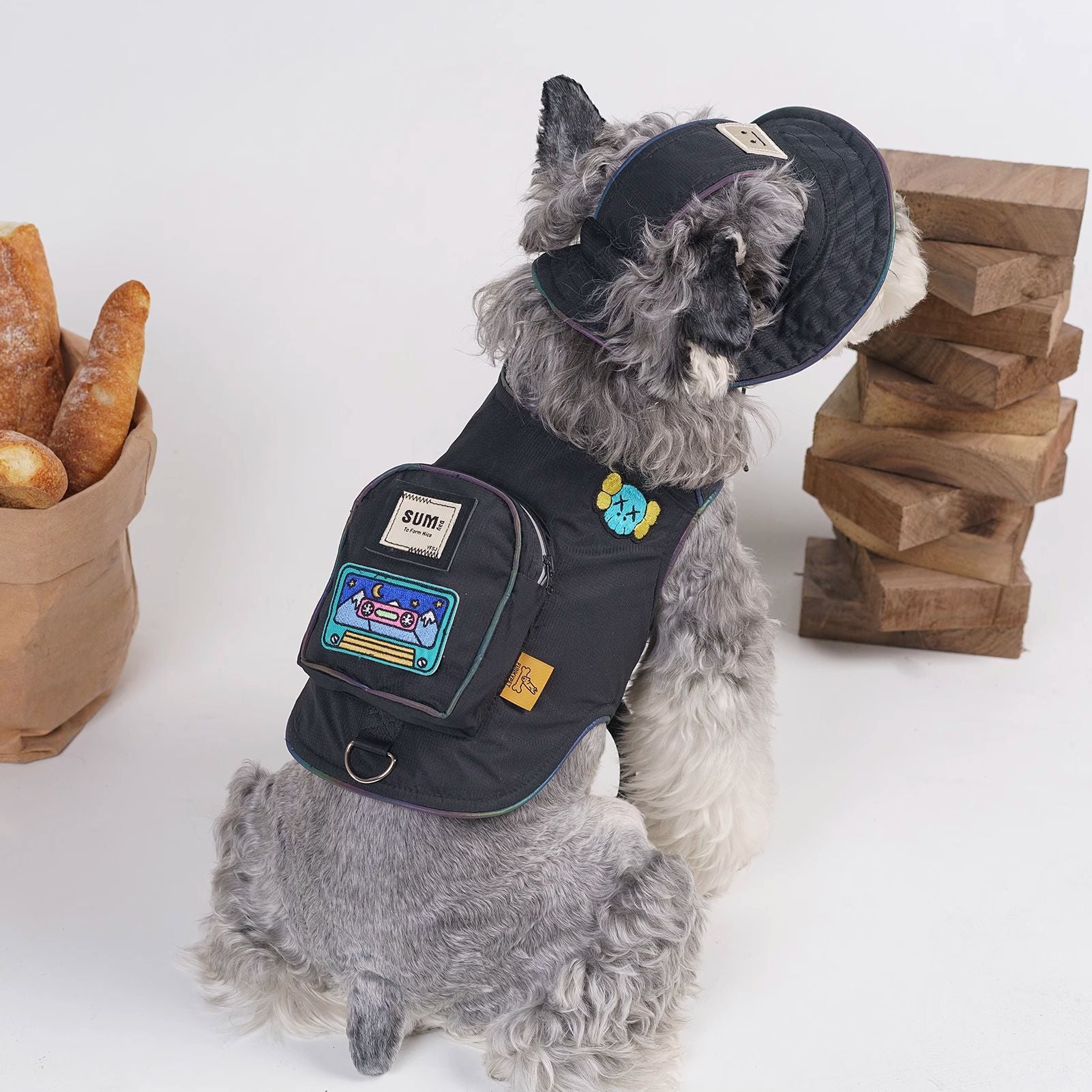 Back view of black dog backpack harness with front pouch and matching cap