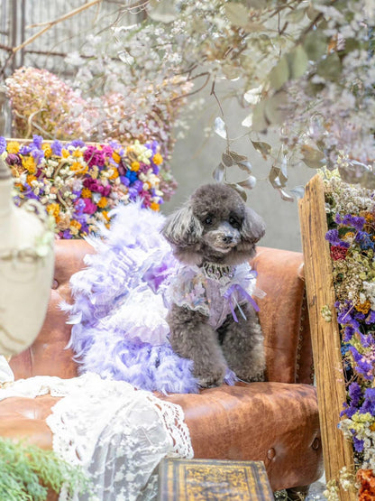 Dog Dress Feather Dream Princess Dress