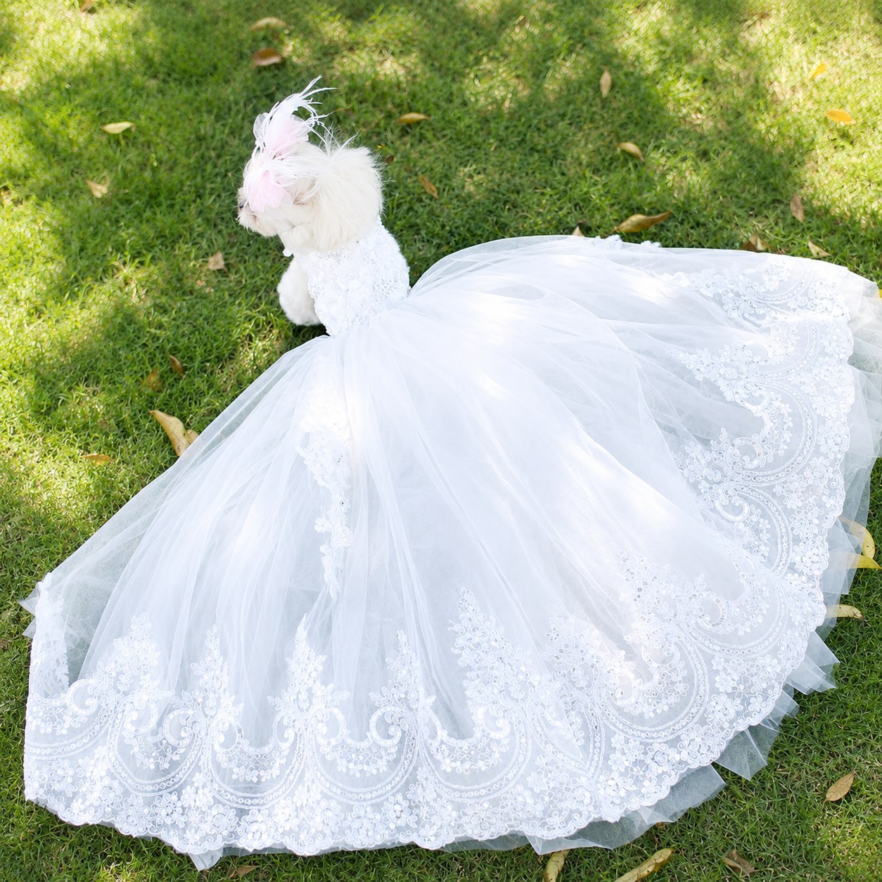 Princess Style Dog Wedding Dress with Extra Long Train
