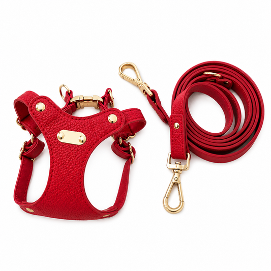 Luxury Leather Dog Harness & Leash Set – Brown/Green