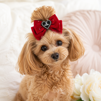 Velvet Rhinestone Hair Bow for Small Dogs and Cats
