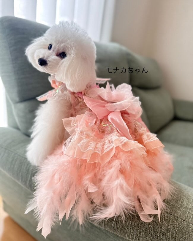 Feather Dream Princess Dog Dress boutique pet dress detail photo 3
