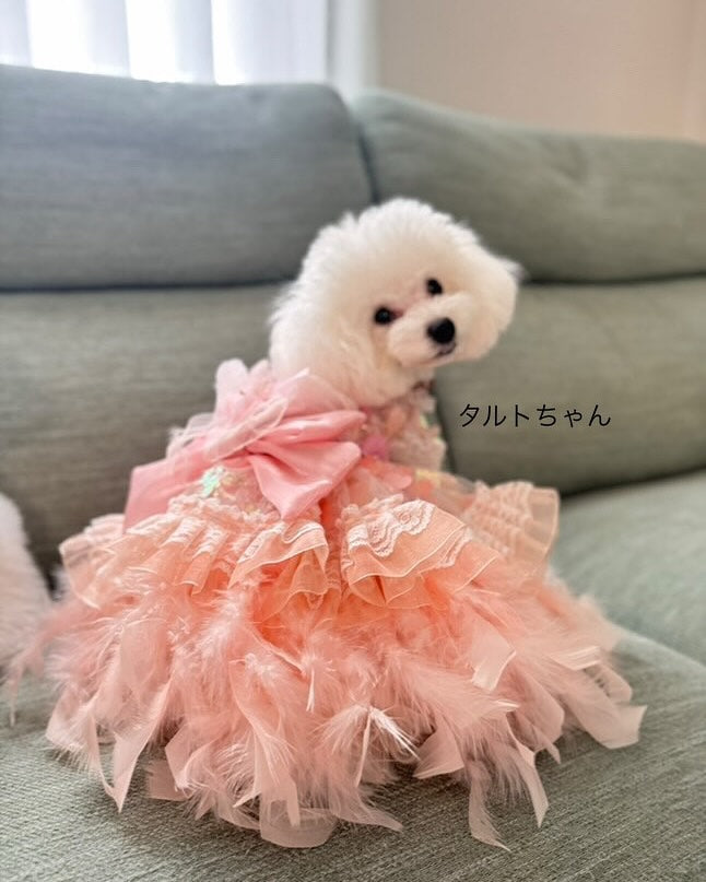 Feather Dream Princess Dog Dress boutique pet dress detail photo 2