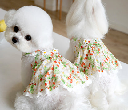 Floral Rabbit Print Pet Dress