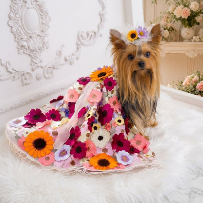 Small Yorkshire Terrier wearing luxury floral embroidered pet dress for portraits