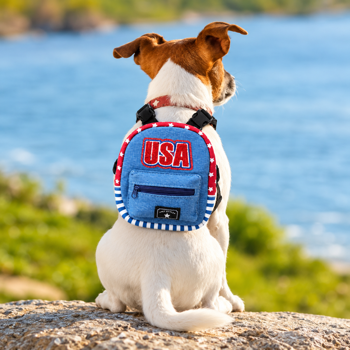 Back view of dog wearing USA denim backpack harness beside a lake