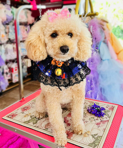Halloween Pet Ruffle Collar with Lace, Bow & Bell