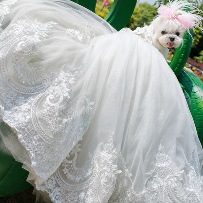 Luxury White Dog Wedding Dress with Cathedral Train