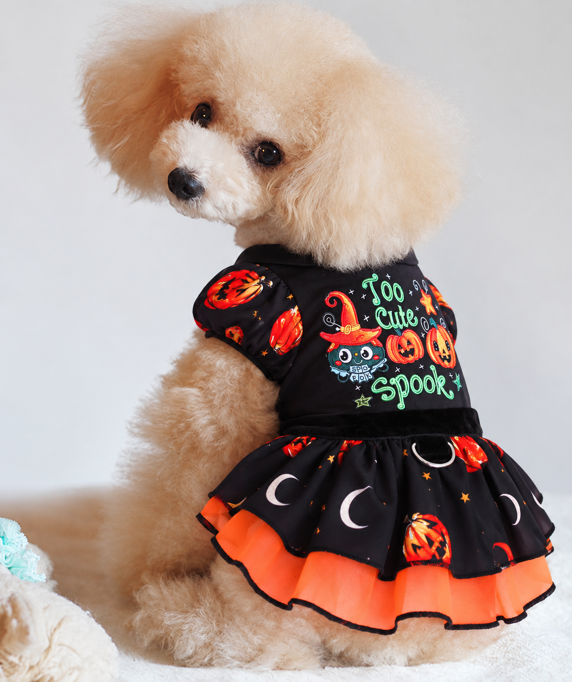 Small dog modeling Too Cute to Spook Halloween dress with orange layered skirt