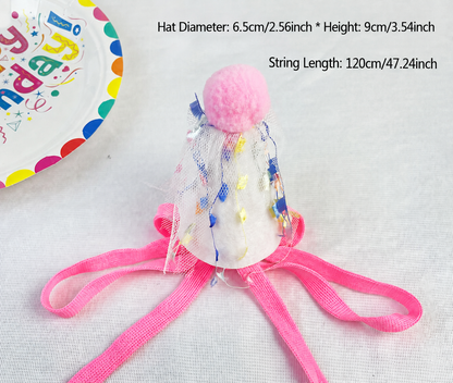 Birthday Baby Pet Hat and Bib Set