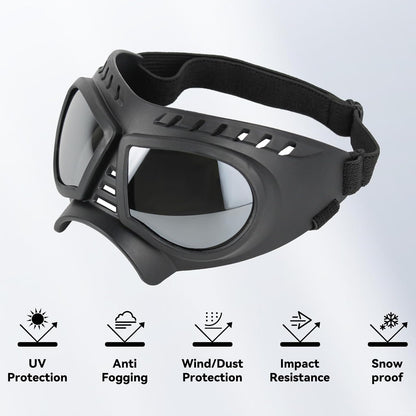 Dog goggles sunglasses skull