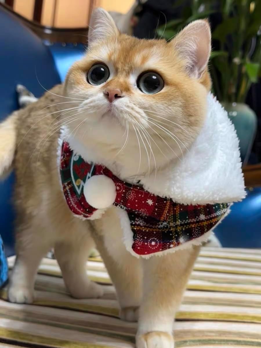 Plaid Pet Christmas Collar Cape