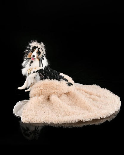 Luxury Black & Champagne Dog Gown with Detachable Train