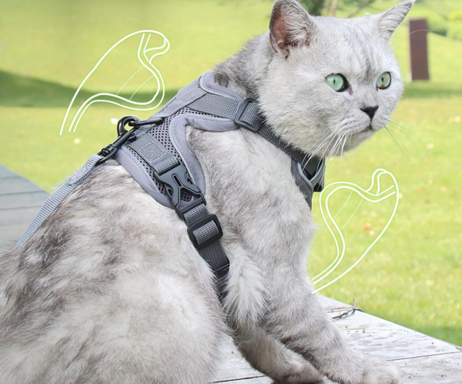 escape proof cat harness