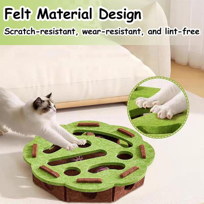 Interactive Cat Puzzle Toy with Scratch Track