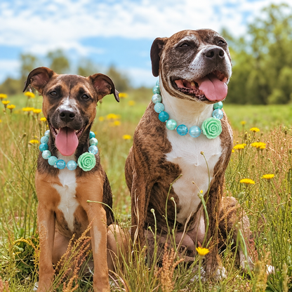 Two large dogs wearing aqua rose beaded pet necklaces outdoors