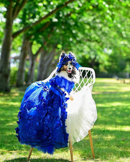 Royal Blue Floral Princess Dog Dress – Luxury 3D Flower Puppy Ball Gown with Elegant Train