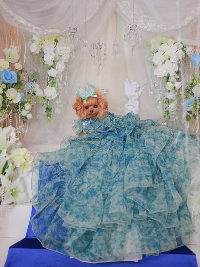 Blue Floral Pet Wedding Dress with Detachable Train boutique pet outfit detail photo 2