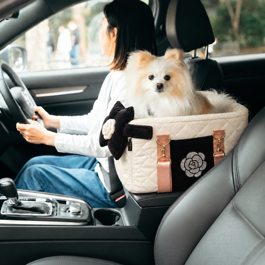 2-in-1 Pet Car Seat & Carrier