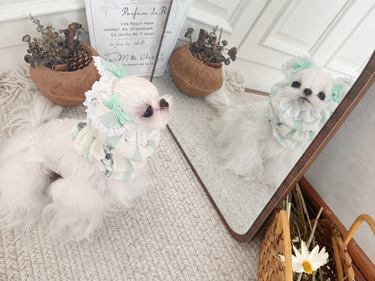 White long-haired dog wearing a green floral cotton snood beside a mirror