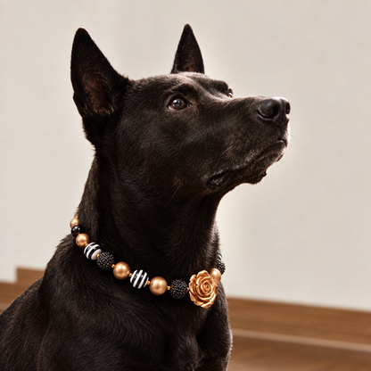 Large black dog wearing black and gold rose beaded pet necklace