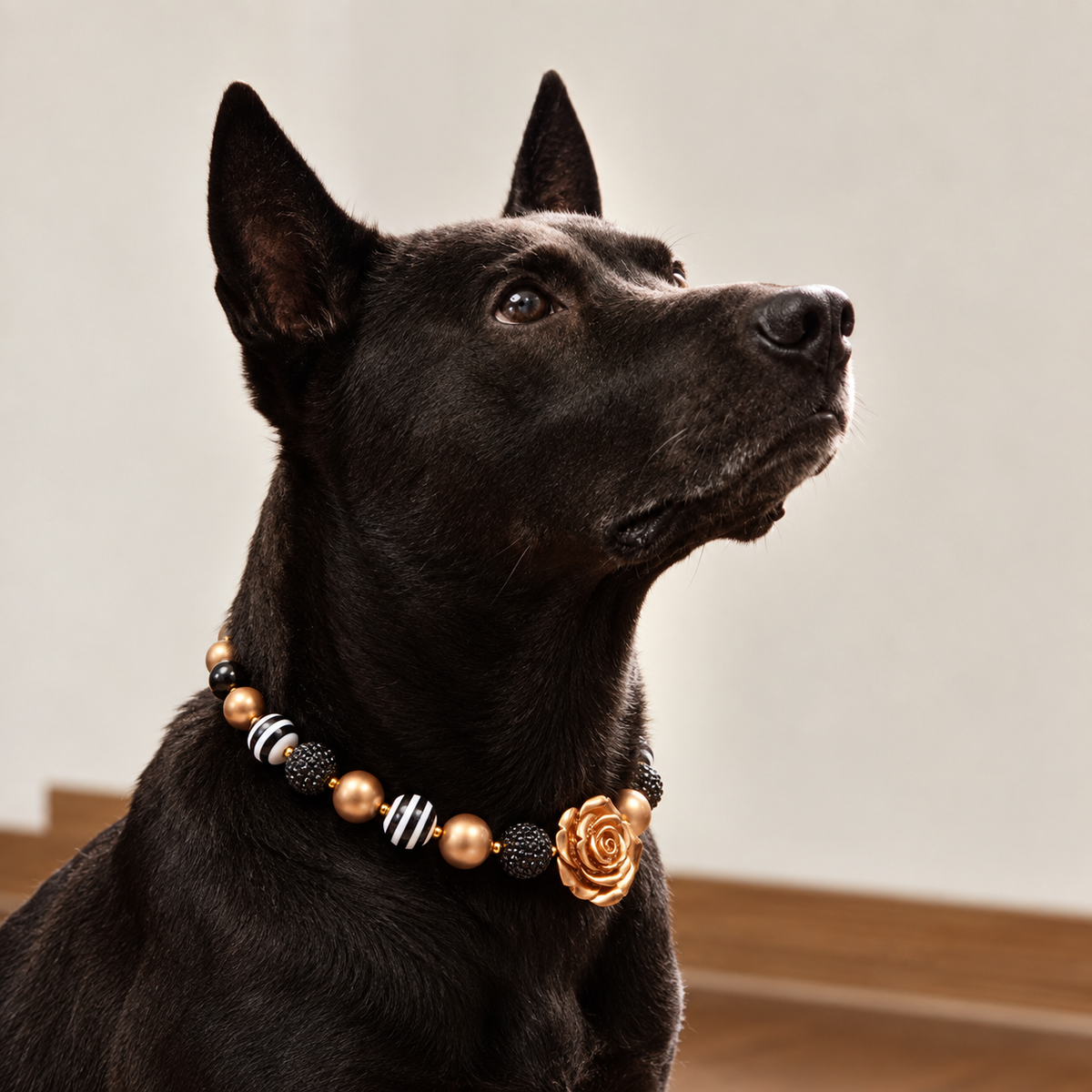 Chunky Acrylic Beaded Dog Necklace (3 colors)