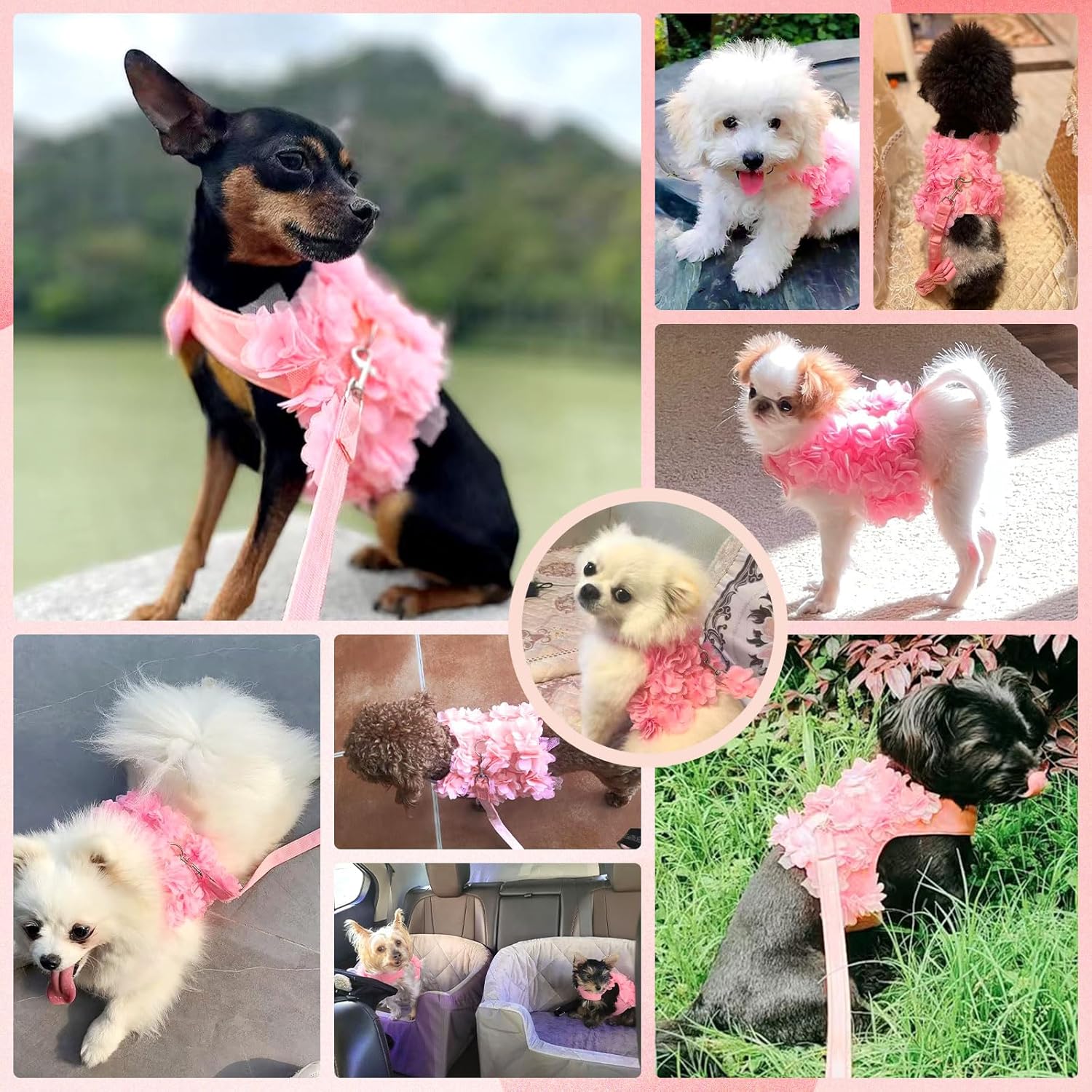 Princess puppy harness and leash set