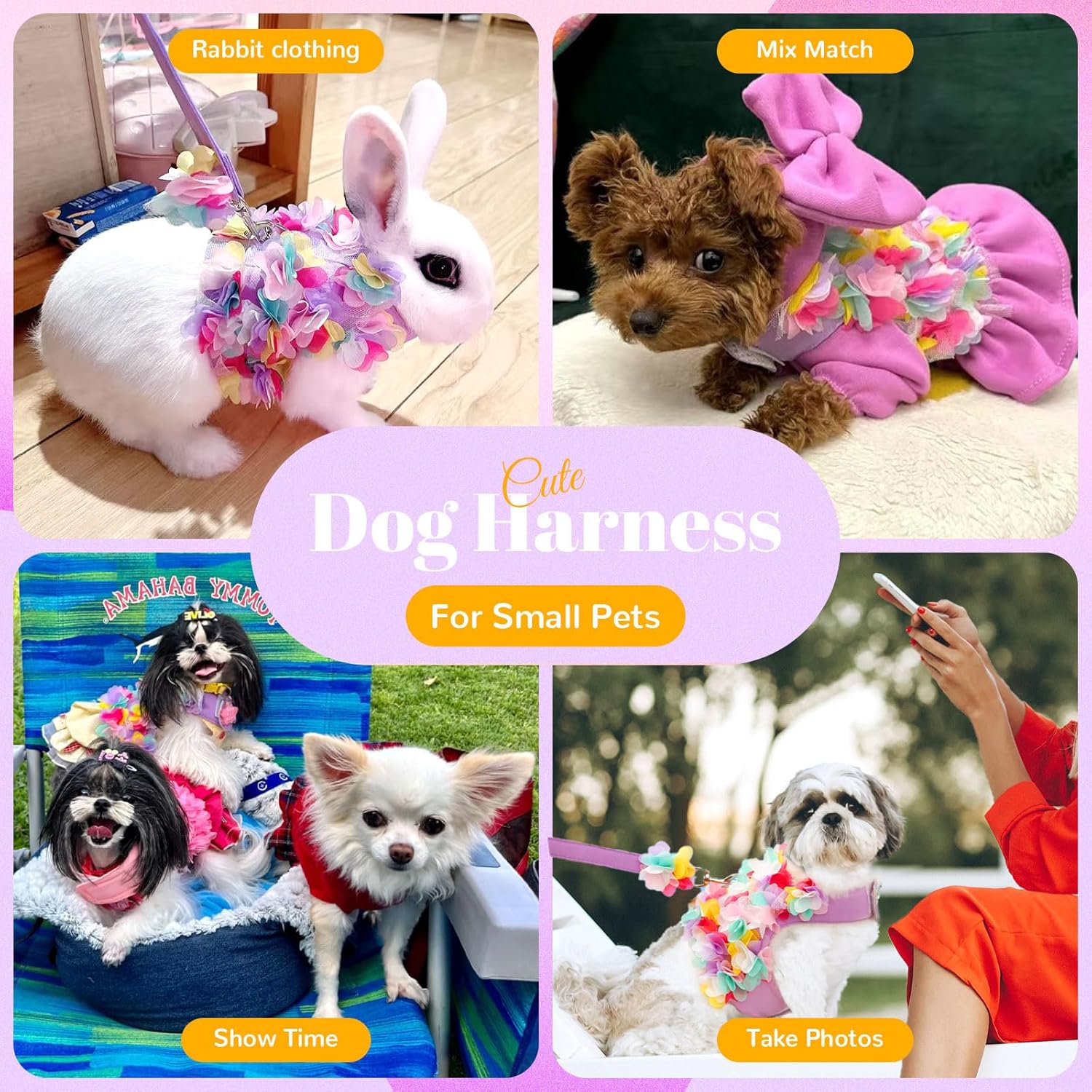 Cute cat harness floral design