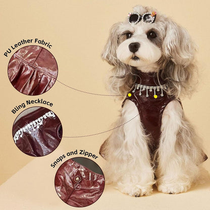 Luxe Leather Pet Beret Dress With Hat