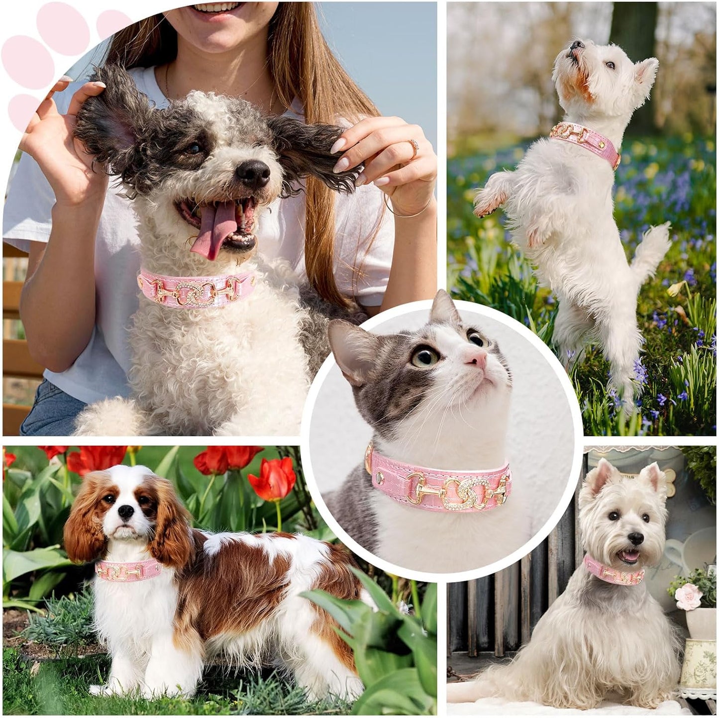 Luxury Crystal Heart Dog Collar – Pink & Purple Croc Texture