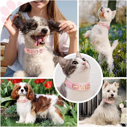 Luxury Crystal Heart Dog Collar – Pink & Purple Croc Texture
