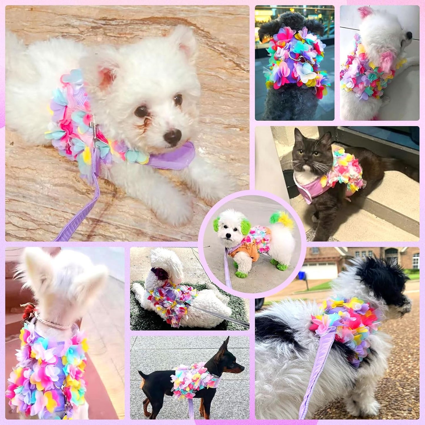 Breathable mesh pet vest harness