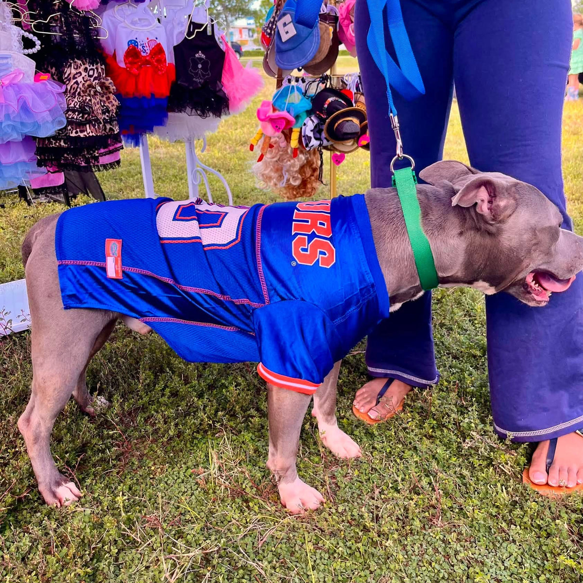 Florida Gators Dog Jersey by Pets First