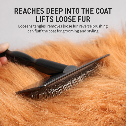 Black pet slicker brush lifting loose fur from orange coat