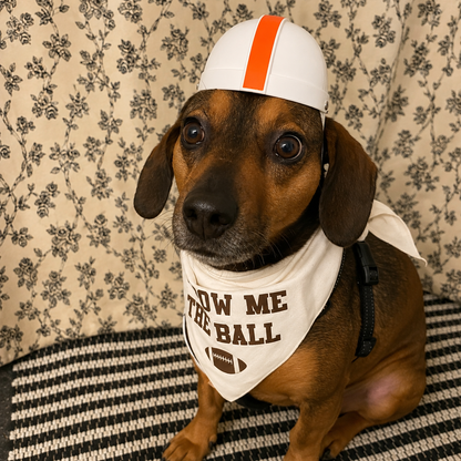 Black or White Pet Bike Helmet
