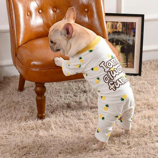 Pineapple Dog Pajamas – “I Am Always Fun” Jumpsuit