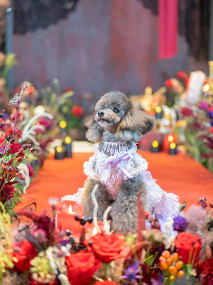 Dog Dress Feather Dream Princess Dress