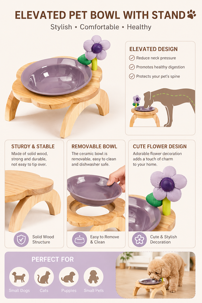 Raised pet feeder with ceramic bowl and wooden base for cats and small dogs
