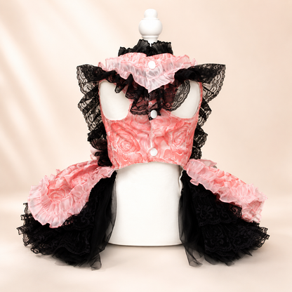 Elegant Lace Bow Pet Dress Lolita Style Dog Clothing