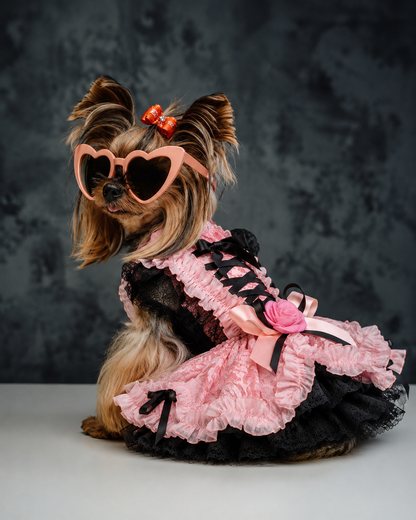 Elegant Lace Bow Pet Dress Lolita Style Dog Clothing