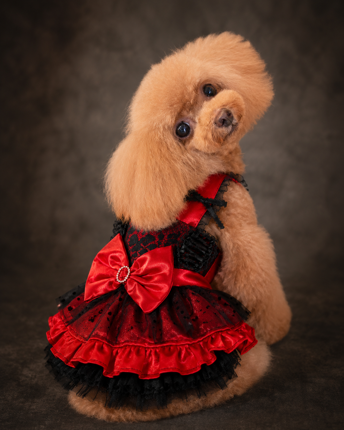 Red Black Gothic Lace Luxury Pet Dress
